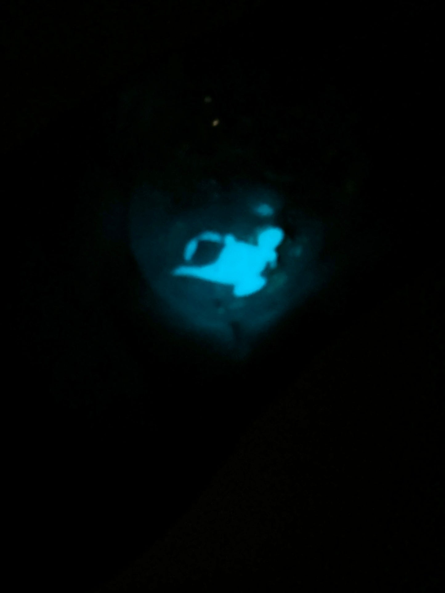 Jasmine (Lamp Glows in the Dark)